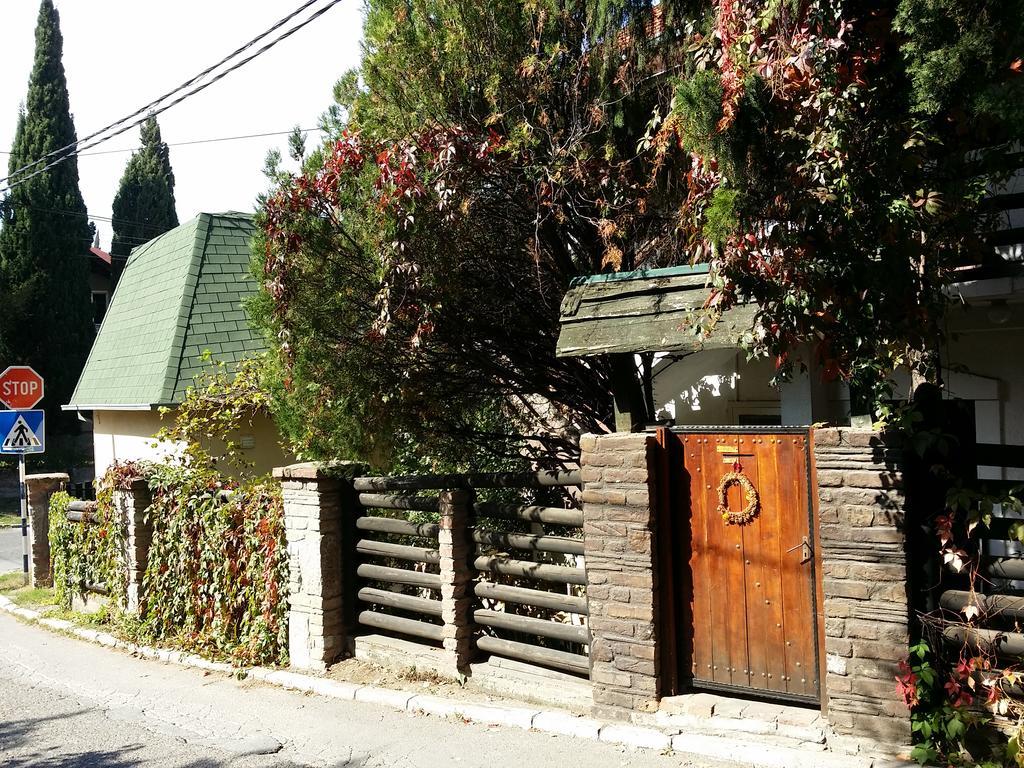 Apartment Jancic Smederevo Exterior photo