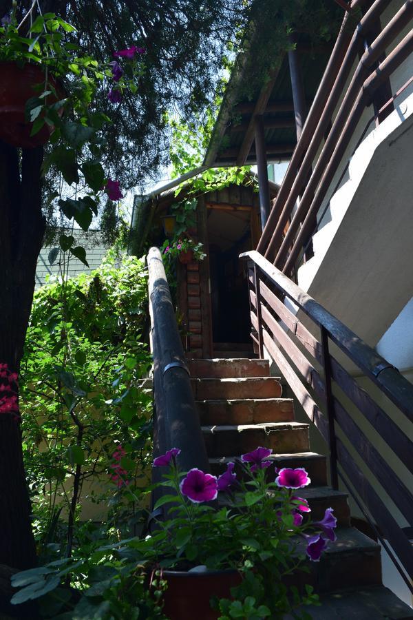 Apartment Jancic Smederevo Exterior photo